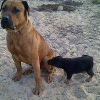 La maison de alberto