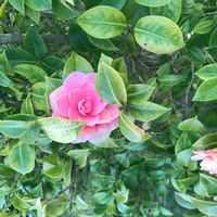 La maison de Karine et Xavier et leurs enfants