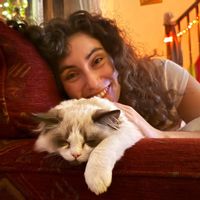 Beachside in the Algarve☀️ (Ski resorts or Stockholm exchanges)