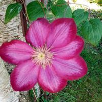 La maison de Valérie