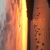 Appartement sur le port du Rosmeur avec une pleine vue mer