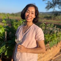 Villa Monferrato: Vista da Sogno, trekking e relax