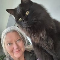 Chambre près de Lille ( wasquehal)