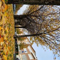 La maison de Paul Nolan and family