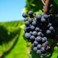 La maison de Jessica Margarita