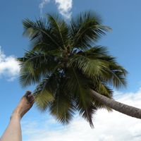 Bourgogne du sud, village tranquille, entouré de verdure. Maison entière + caravane bohème.