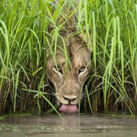 La maison de Thierry