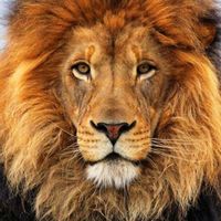 La maison de NORBERTO