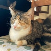 La maison de Michela