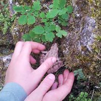 La maison de Lydie & Bertrand