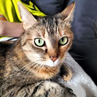 La maison de Mélanie et Alexis