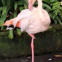 Joli maison bretonne avec vue mer