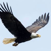 La maison de Donna Lee