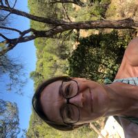 La maison en bois dans la pinède, chambre en hospitalité