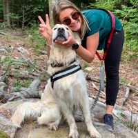 Maison centre Alsace