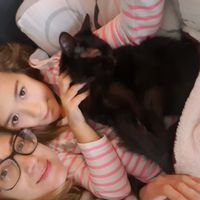 Disponible pour avril 2025 et juillet aout 2025 - Belle maison à 25 min de Paris