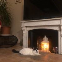 La maison de Georgia et Hedy