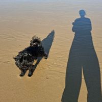 Une cabane à Pleherel