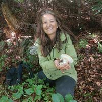 Charmante maison ardechoise Pas possible avant automne 2024 .