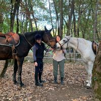 La maison dans la forêt
