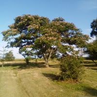 Gîte indépendant sur une propriété familiale de 3 hectares