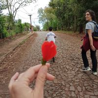 Casa em Iguazú