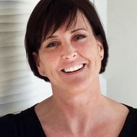 Mid-Century Wonderland