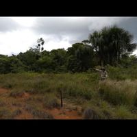 terreno agrícola con lagunas , ojos de agua ,cobas  frutales ,full vegetación