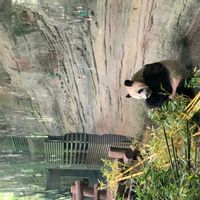 La maison de Phillip