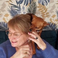 La maison de Romy pour 3 nuits minimun