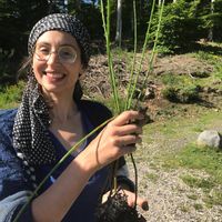 L'école des frères