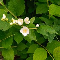 La maison de Erkuden