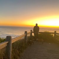 Explore the best of Melbourne from a comfortable home