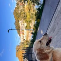 Maison Bressane proche de Louhans