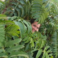 Le Chalet des Dujans