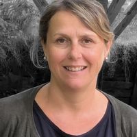 Les Pins du Teich sur le Bassin d'Arcachon.