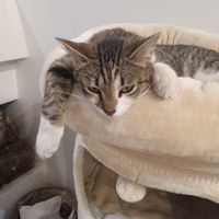 La maison d'Isabelle