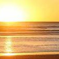 La maison des Tulipes