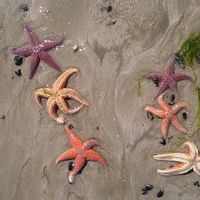 maison au calme campagne Normande