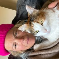 Porto Moniz Nature House