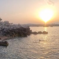 Appartement Côte d'Azur