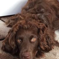 La maison de Clarisse