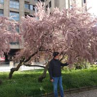 La maison de Candelas