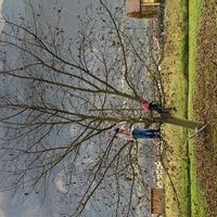 La maison de Santina