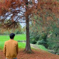 La maison de Charlie