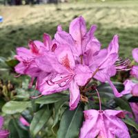 la maison de Julie et Sylvain