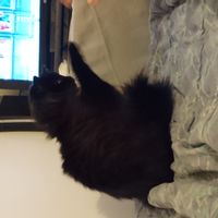 La chambre privée de Bruno