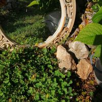 La maison de Muriel et Christian Maison de plein pieds