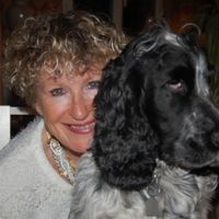 JOLI MAZET PROVENCAL EN PLEINE NATURE