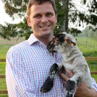 Large 5 Bedroom Home with Indoor Pool - Sleeps 12